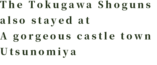 The Tokugawa Shoguns also stayed at A gorgeous castle town Utsunomiya