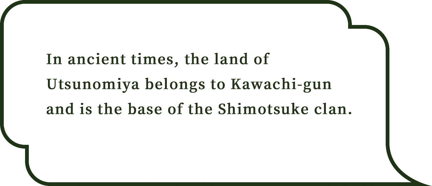 大宝律令の作成に携わった下毛野氏が基盤とした地であり多くの古墳も発見されています。