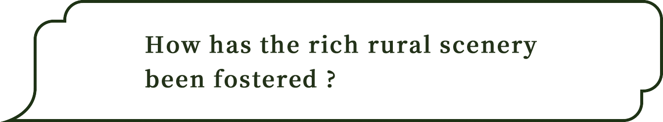 どHow has the rich rural scenery been fostered ?